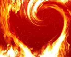 Hearth Fires<br><i> 